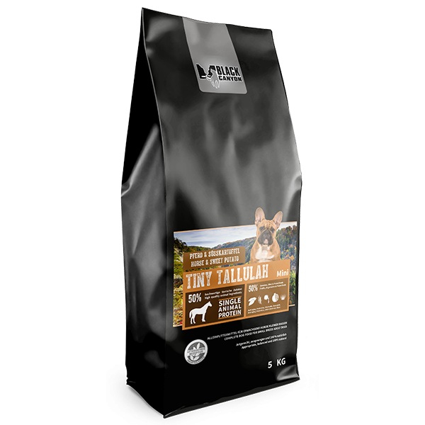 Black Canyon Tiny Tallulah Pferd