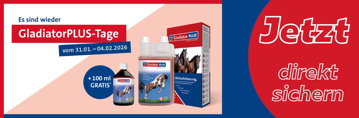 Gladiator+Tage2026