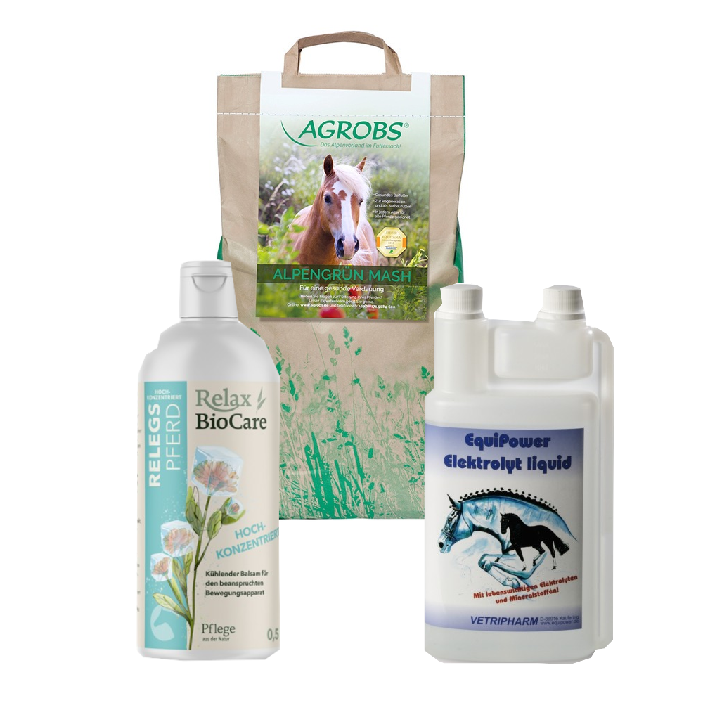 Nach dem Turnier – Regenerations-Bundle für Pferde