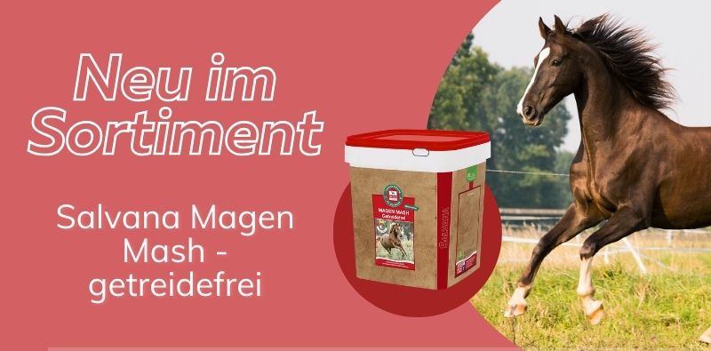 Neu im Sortiment - Salvana Magen Mash