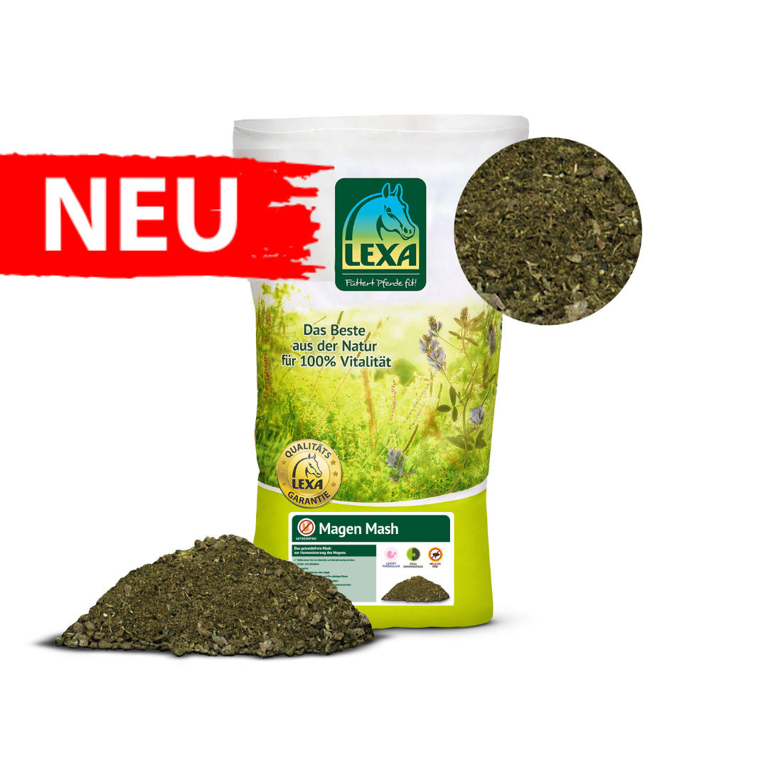 Lexa Magen Mash 