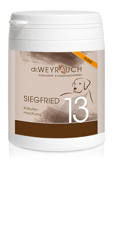 Dr. Weyrauch Nr 13 Siegfried Hund