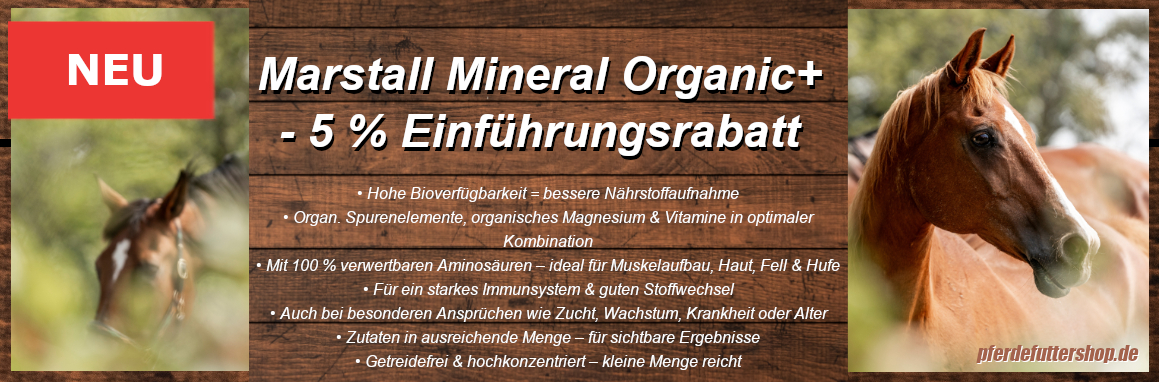 Zwei braune Pferd schauen sich um - Einführung MineralOrganic