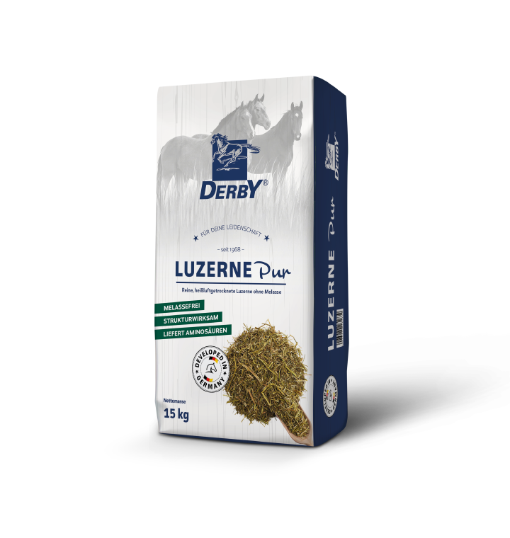 Derby Luzerne Pur