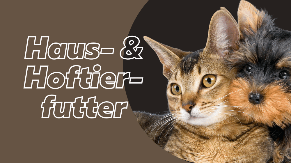 Haus- und Hoftierfutter für Hunde und Katzen entdecken