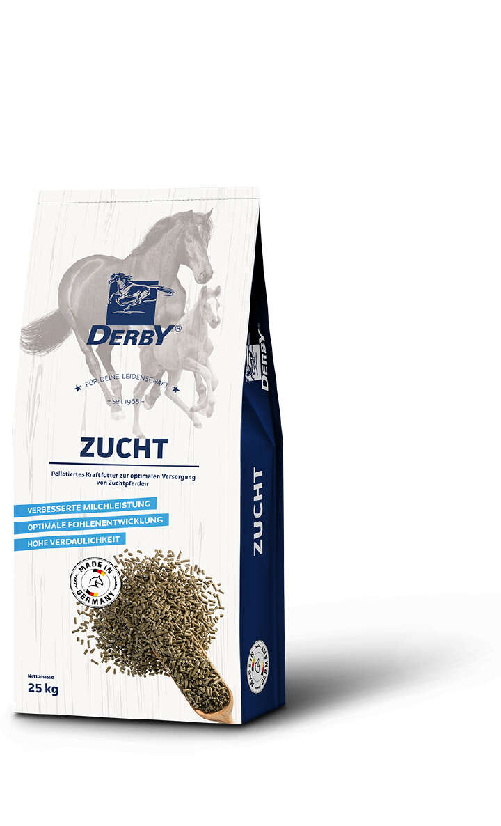 Derby Zucht pell.