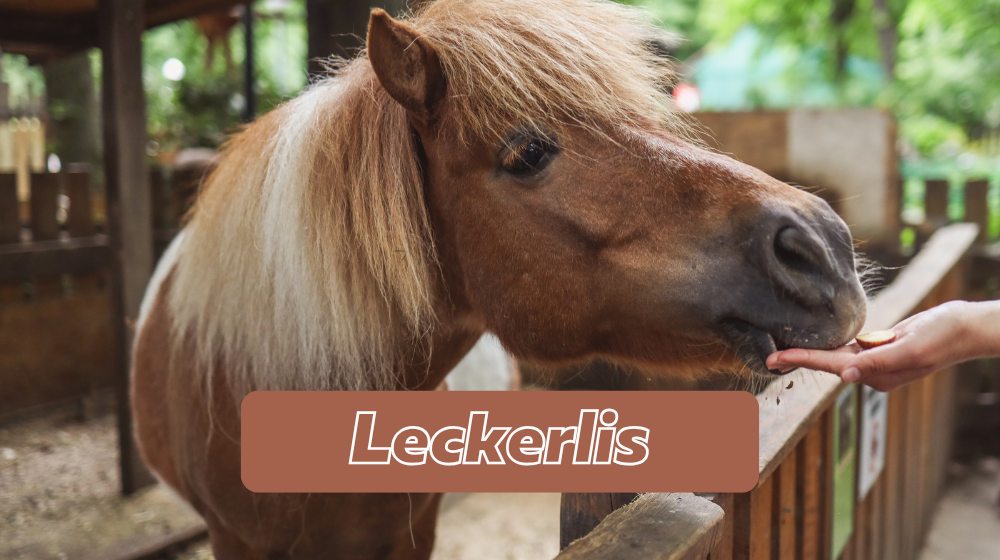 Leckerlis für Pferde