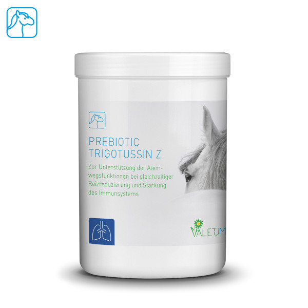 Valetumed Prebiotic Trigotussin Z 0,5 kg