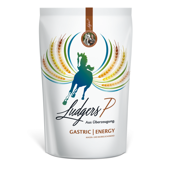 Ludgers P Gastric Energy 20 kg