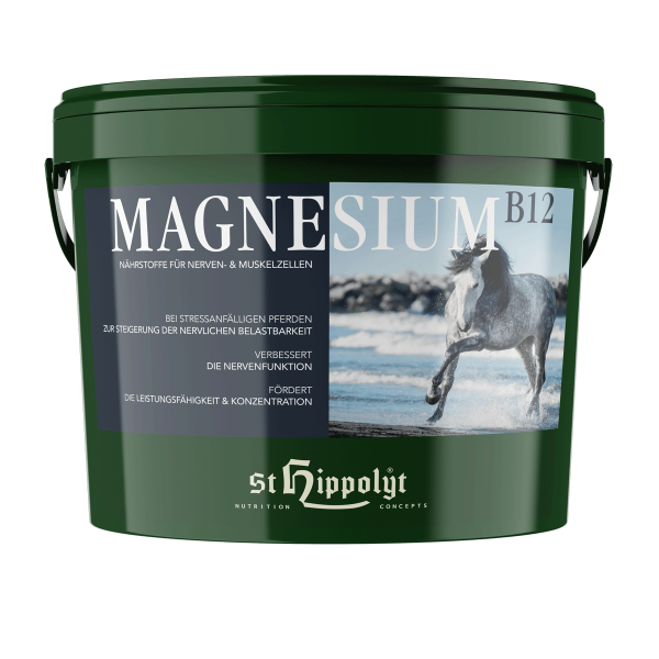 St. Hippolyt Magnesium B 12 10 kg