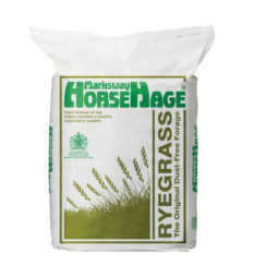 HorseHage RYEGRAS grün
