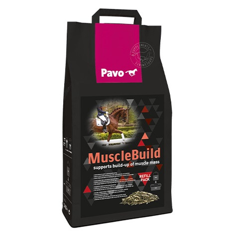 Pavo Muscle Build Nachfüll 3 kg
