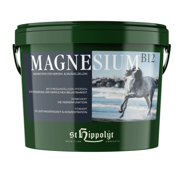 St. Hippolyt Magnesium B 12 25 kg