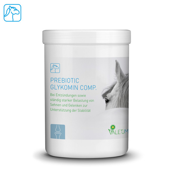 Valetumed Prebiotic Glycomin Comp. 0,75 kg